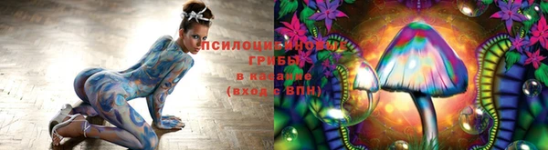 первитин Алексин