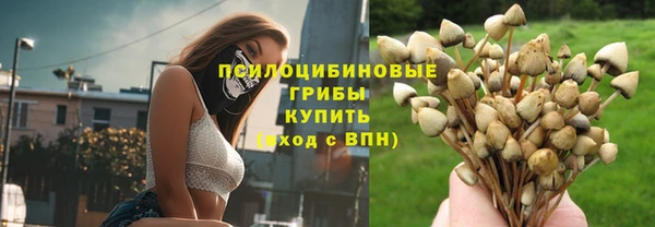 a pvp Алексеевка