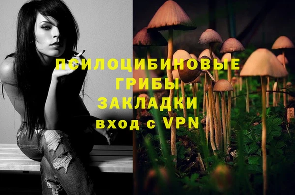 трава Алзамай