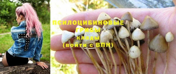 трава Алзамай